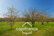 Charmante ferme bressane, 3 chambres avec grand terrain et dépendances – Au calme, proche de Lons-le-Saunier (39000)