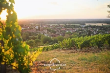Propriété familiale de charme avec parc arboré dans le Revermont jurassien, proche LONS-LE-SAUNIER (39000)