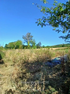 For Sale: Stone House and Outbuildings to Renovate on 3.2 Hectares + Additional Outbuildings in Valdallière – 14350