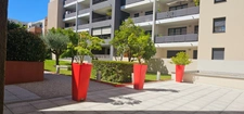 SAINT JEAN DE VEDAS (34) F3 avec grande terrasse et parking en sous-sol