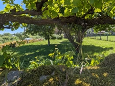 House for sale, 8 rooms, SAULIEU (21)