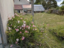 Maison de village de 5 pièces avec dépendances 