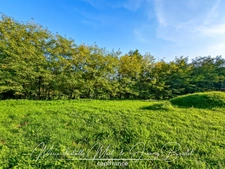 Maison 5 chambres avec piscine au calme