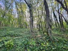 Terrain à vendre de 1 500m² AVAILLES THOUARSAIS (79)