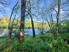 Terrain à vendre de 1 500m² AVAILLES THOUARSAIS (79)