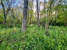 Terrain à vendre de 1 500m² AVAILLES THOUARSAIS (79)
