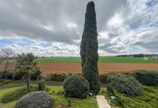 🏡 Maison 170 m² – 3 chambres – Terrain 1 800 m² – Terrasse – Vue dégagée – Aucun vis-à-vis – Grand garage 