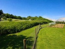 Maison à vendre 6 pièces CHATEAUNEUF LA FORET (87)