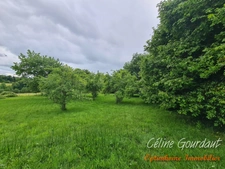 Maison 5 pces 95 m² avec dépendances et un terrain de 4492 m²