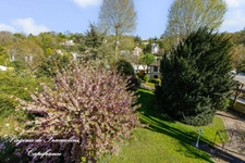 A vendre-Propriété avec Vue sur la Marne–Parc Arboré, Pavillon Indépendant & Berge Privative-Parcelle de 1890m2-304 m2