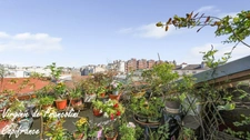 Saint-Mandé-A vendre appartement 5ème et dernier étage-84m2 au sol-terrasse-traversant-Cave- métro L1 et L8