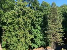 Appartement à vendre 6 pièces SEYNOD (74)