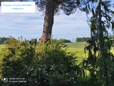 Miramont d'Astarac - Deux habitations, un ancien atelier ferronnier,  1,3 hectare de nature : un domaine rare au cœur de l’Astarac