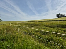 Maison de campagne avec dépendances et terrain borné de 1,35 hectares (32)