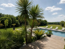 Maison avec 3 gîtes, piscine et 7 ha de prairies et forêts