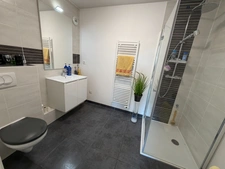Attique T2 d’exception – Saint-Louis (68300)
