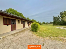 Propriété équestre à vendre à Senonnes (53)