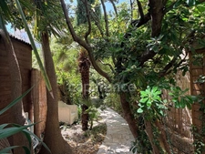 CANNES - CHARMING BUILDING - PRIVATE MANSION TYPE / GREAT POTENTIAL / ABSOLUTE PEACE AND QUIET