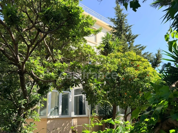 CANNES IMMEUBLE DE CHARME TYPE HÔTEL PARTICULIER / FORT POTENTIEL / CALME ABSOLU