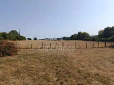 Charmante maison en pierre à découvrir – Lurcy-le-Bourg