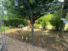 Maison à vendre 6 pièces PREMERY (58)