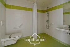 Maison à vendre 3 pièces LE CHATELET (18)