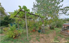 House for sale, 6 rooms, SAINT SAUVIER (03)