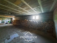 House with full basement, 6 rooms, LE CHATELET (18)