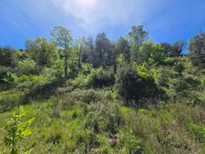⭐ Terrain viabilisé 1792 m² - Permis accordé - Vue exceptionnelle