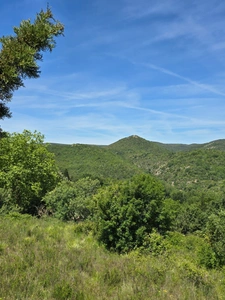 ⭐ Terrain viabilisé 1792 m² - Permis accordé - Vue exceptionnelle