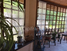 Maison avec écrin de verdure et bois