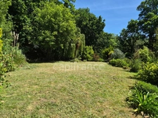Maison avec écrin de verdure et bois