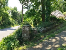 Maison avec écrin de verdure et bois