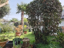 Maison de ville avec jardin
