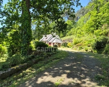 Maison avec écrin de verdure et bois
