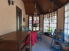 Maison avec écrin de verdure et bois