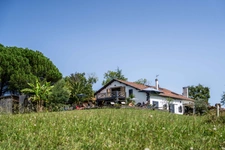 Proche de HOSSEGOR (40), entre mer et forêt, DOMAINE D'EXCEPTION SUR PLUS DE 7 HECTARES