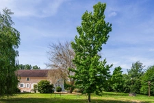 Property of character and charm near MONT DE MARSAN (40) - 430 m2 of living space - Land of approximately 9000 m2
