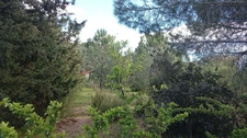 Sous offre - Terrain à vendre - LE BOULOU (MAS BLANC)