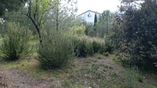 Sous offre - Terrain à vendre - LE BOULOU (MAS BLANC)