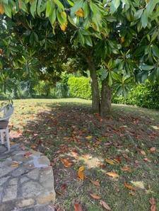 Maison familiale, 5 pièces avec jardin et garage proche commodité 