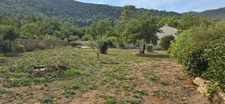 House for sale: 6-room villa + swimming pool, 3000m² plot, SOLLIES TOUCAS (83)