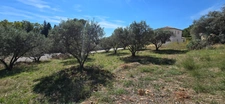 Terrain à vendre  LA VALETTE DU VAR (83) Le Partégal