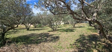 Land for sale in La Valette-du-Var (83), Le Partégal
