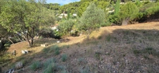 Land for sale, 875m², TOULON (83)