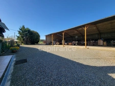 Corps de ferme – 1 280 m² de hangars + maison DPE B – Saint-Sever (40)