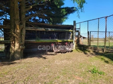 Corps de ferme – 1 280 m² de hangars + maison DPE B – Saint-Sever (40)