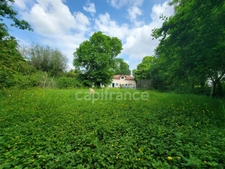 Superbe rénovation – 240 m² – DPE A – 5 000 m² de terrain