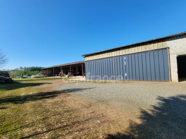 Corps de ferme – 1 280 m² de hangars + maison DPE B – Saint-Sever (40)
