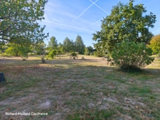 Plain-pied 130 m² sur terrain de 2 765 m² - Saint-Étienne-de-Tulmont (82)